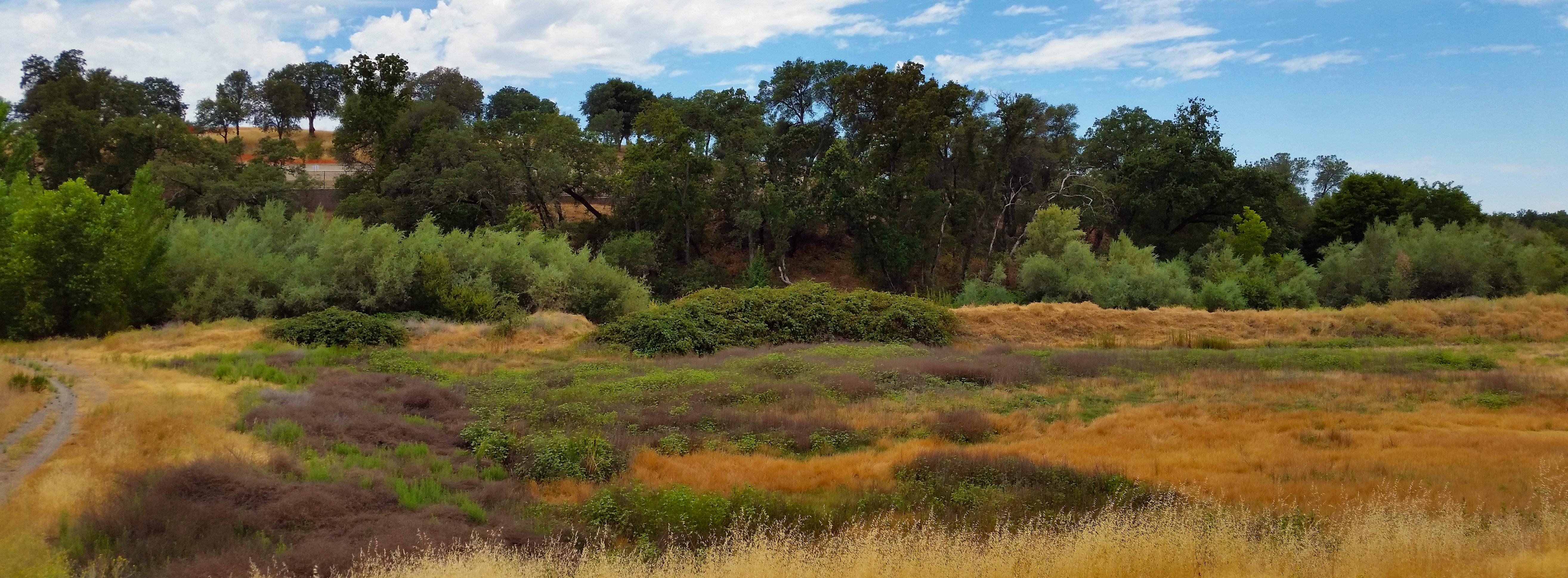 Miners Ravine Nature Reserve | Visit Placer