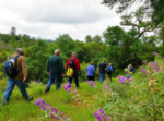 Placer Land Trust “Nature Quest” – Wildflowers Stroll