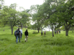 Placer Land Trust “Nature Quest” – Forest Bathing at Canyon View Preserve