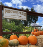 Deer Creek Farm Pumpkin Patch by Compassion Planet